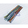 Security Lanyard