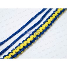 Security Lanyard (2)