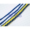 Security Lanyard (big)