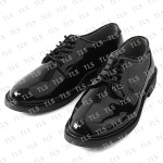 Security Shoes